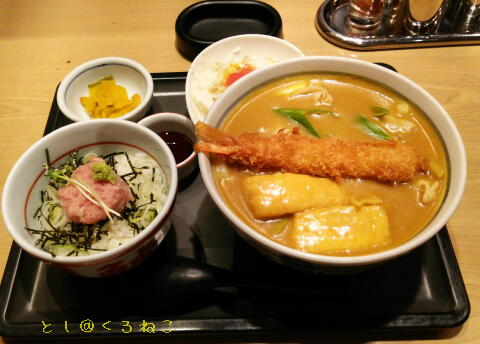 若鯱家 エビフライ カレーうどん セット