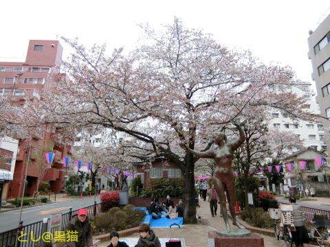 文京区 文京さくらまつり と 銅像