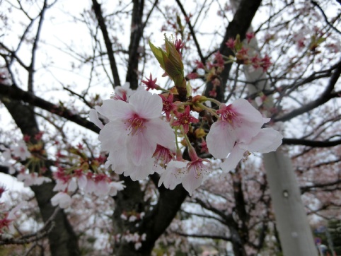 朝、石川県立中央病院に入院しました