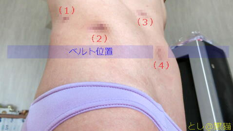 健康管理食＋散歩だけで体重 4kg減 体脂肪率 1桁に