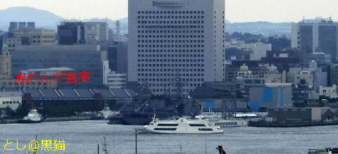 横浜港 マリンルージュ