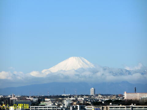 富士山