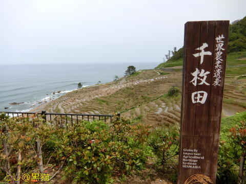 能登半島 輪島観光(1) 「まれ」ロケ地を回る