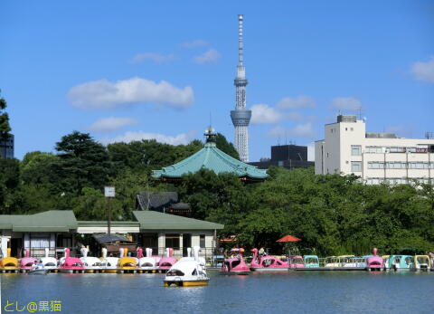 上野恩賜公園 で ポケモン GO