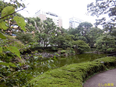 唐桃軒(とうとうけん) ねぎチャーシュー麺 横浜公園でGO