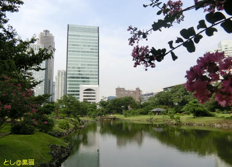 竹芝客船ターミナル、旧芝離宮恩賜庭園でGO