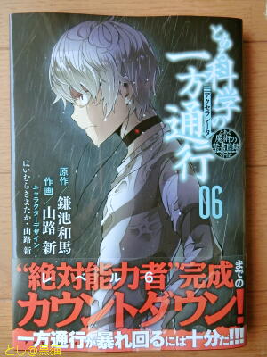 とある科学の一方通行(6)