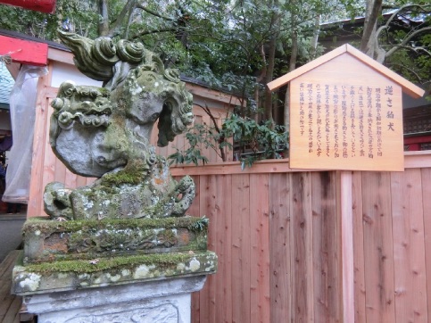 迎春 金沢 石浦神社 初詣 と 雪吊りの兼六園