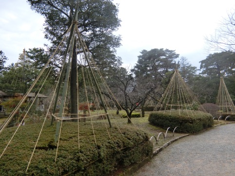 迎春 金沢 石浦神社 初詣 と 雪吊りの兼六園