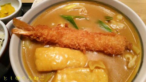 若鯱家 エビフライ カレーうどん セット