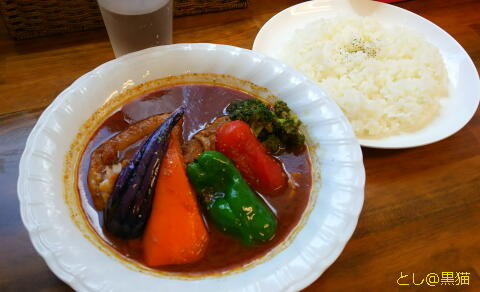 カムイ チキンとポークのWミートカレー