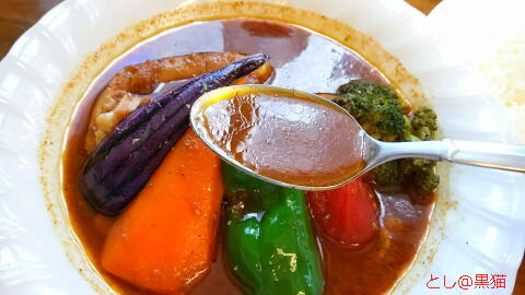 カムイ チキンとポークのWミートカレー