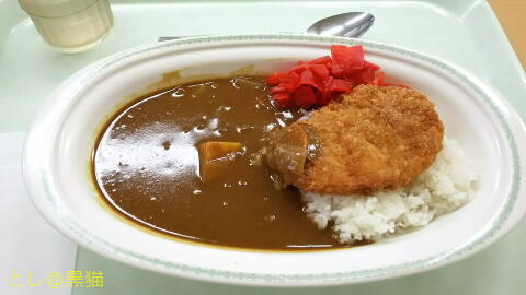 社食で、カツカレー