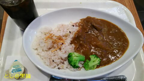 ベックス 信州鹿肉ジビエカレー ケモノ味だった