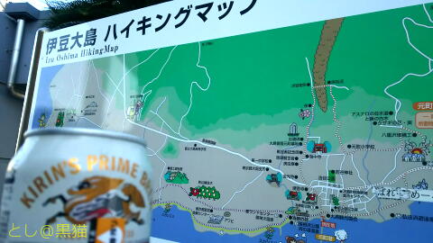 伊豆大島 1泊2日 3ビーチ＋1ナイト、2ビーチ 計6本