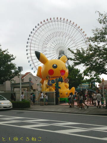 コスモワールドでもピカチュウ大量発生中