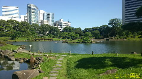 浜離宮恩賜庭園 で ポケモン GO