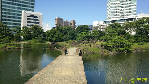 浜離宮恩賜庭園 で ポケモン GO