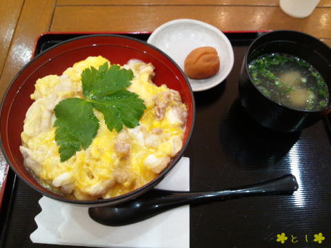 名古屋コーチン 塩麹親子丼