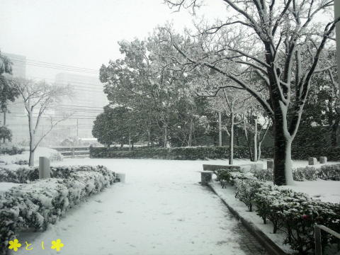 お昼休みは積雪 5cm