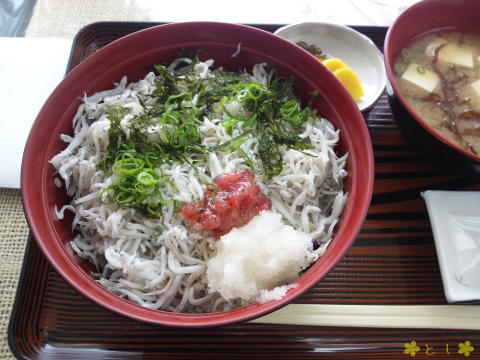 シラス丼