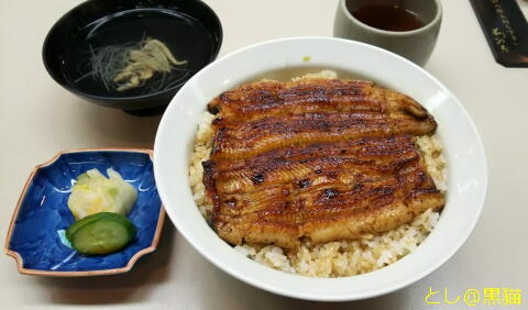 蒲焼き割烹 わかな 上うな丼（老舗の味）