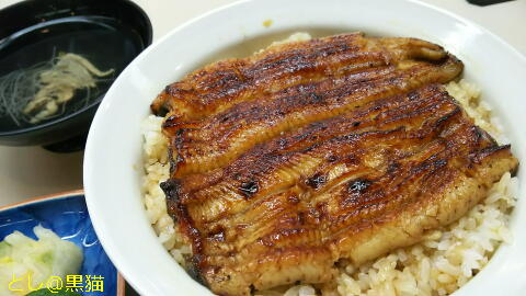 蒲焼き割烹 わかな 上うな丼（老舗の味）