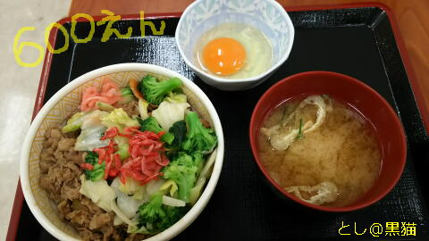 すき家 春のえび塩キャベツ牛丼 たまごセット