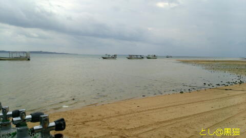 石垣島 4日目 ふりかえってみるとヒドラにハマりそう