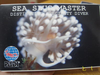 PADI SEA SLUG MASTER SP　Cカード