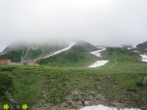 みどりが池あたりから、雄山を望むが・・・