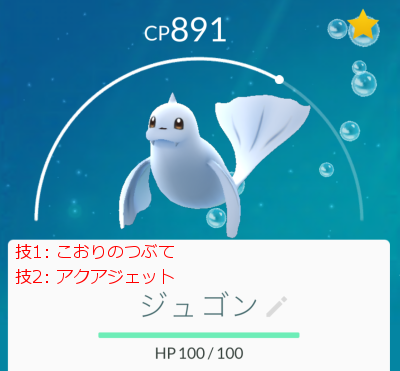 横浜で パウワウと ゼニガメ集めにGO