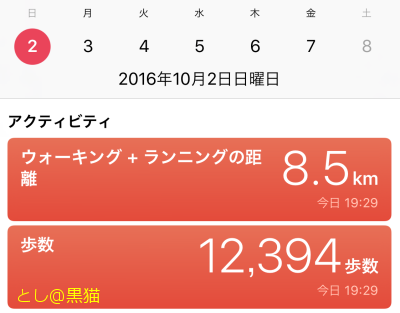 横浜で パウワウと ゼニガメ集めにGO