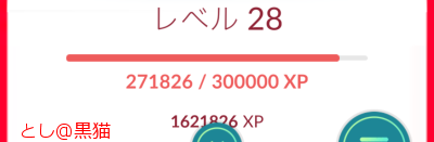 お台場で ゲンガー、ガラガラ、ニドキング進化にGO