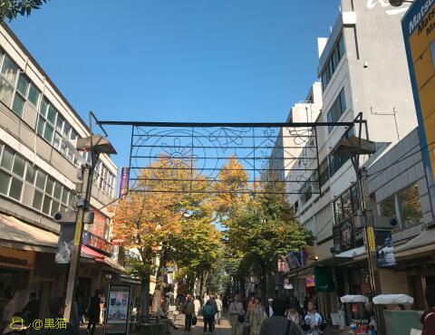 伊勢佐木町 カリー天馬 スープカレー と フルーツティー