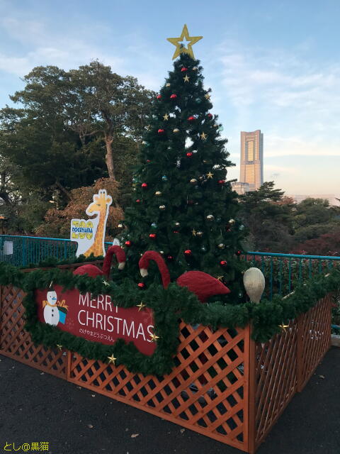 野毛山動物園で ヒトカゲ集めにGO