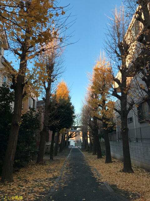 神社の参道