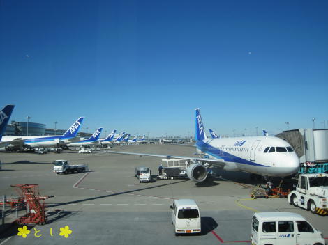 羽田空港は青空