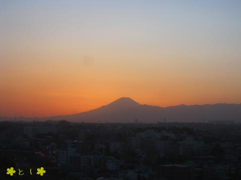 富士山の夕景