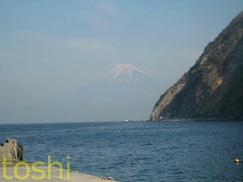 富士山がきれい