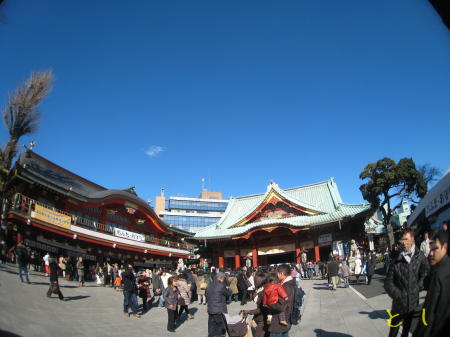 神田明神 御神殿（正面）、鳳凰殿（左手）