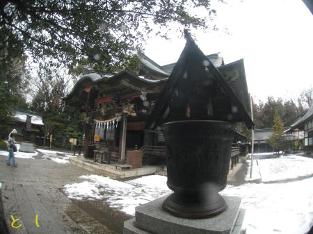 秩父神社境内で、おみくじ