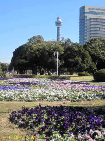 横浜港 お散歩したときの