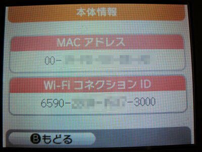 DS LiteのMacアドレスが表示される