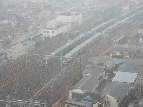 横浜の雪の状況