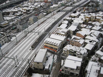 湘南新宿ライン