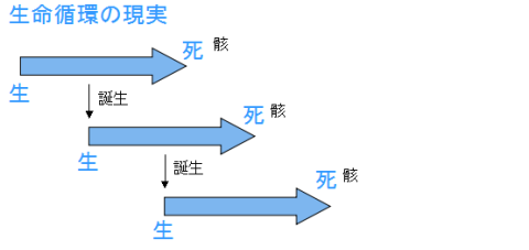 生殖による生まれ変わり