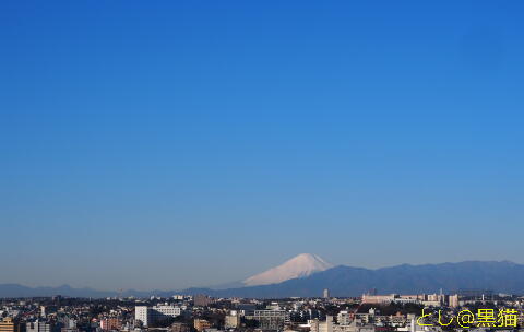 富士山