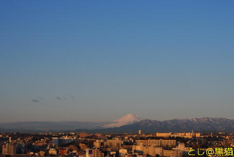 富士山が真っ白