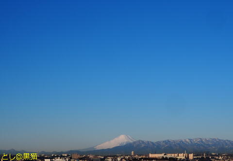 富士山